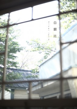 黄金比、白銀比-アスペクト比の調整