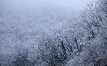 今日の高松はよく降りました