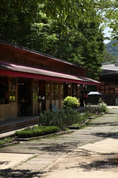 新緑のKITOKURAS