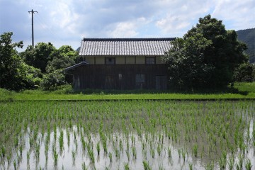 SIGMA MACRO 50mm F2.8 EX DGを試す