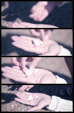 ビジュアルコミュニケーション部活動報告-津田の松原