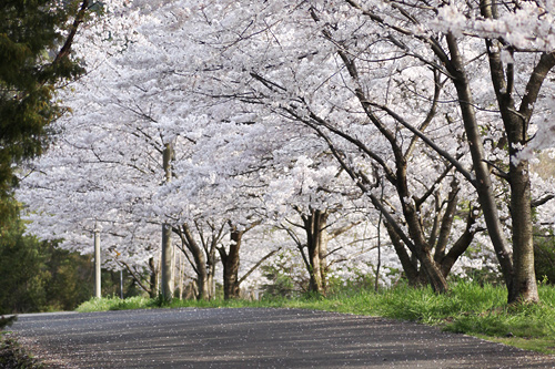 2010N̍
