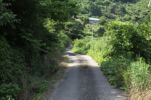 path