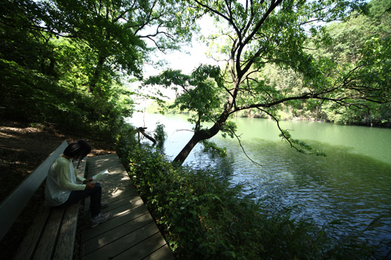 池のほとりのベンチ