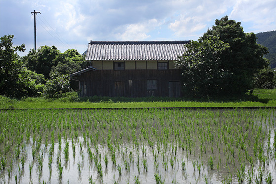 SIGMA MACRO 50mm F2.8 EX DG撮影サンプル04